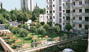 qvi_jardin_zinco