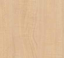 Maple Colonia
